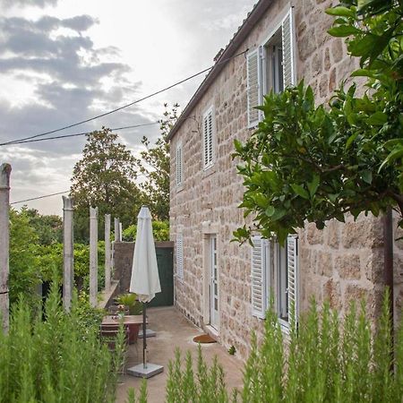 Apartments Maro & Baro Dubrovnik Værelse billede